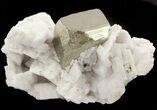 Cubic Pyrite in Manganoan Calcite - Peru #46097-1